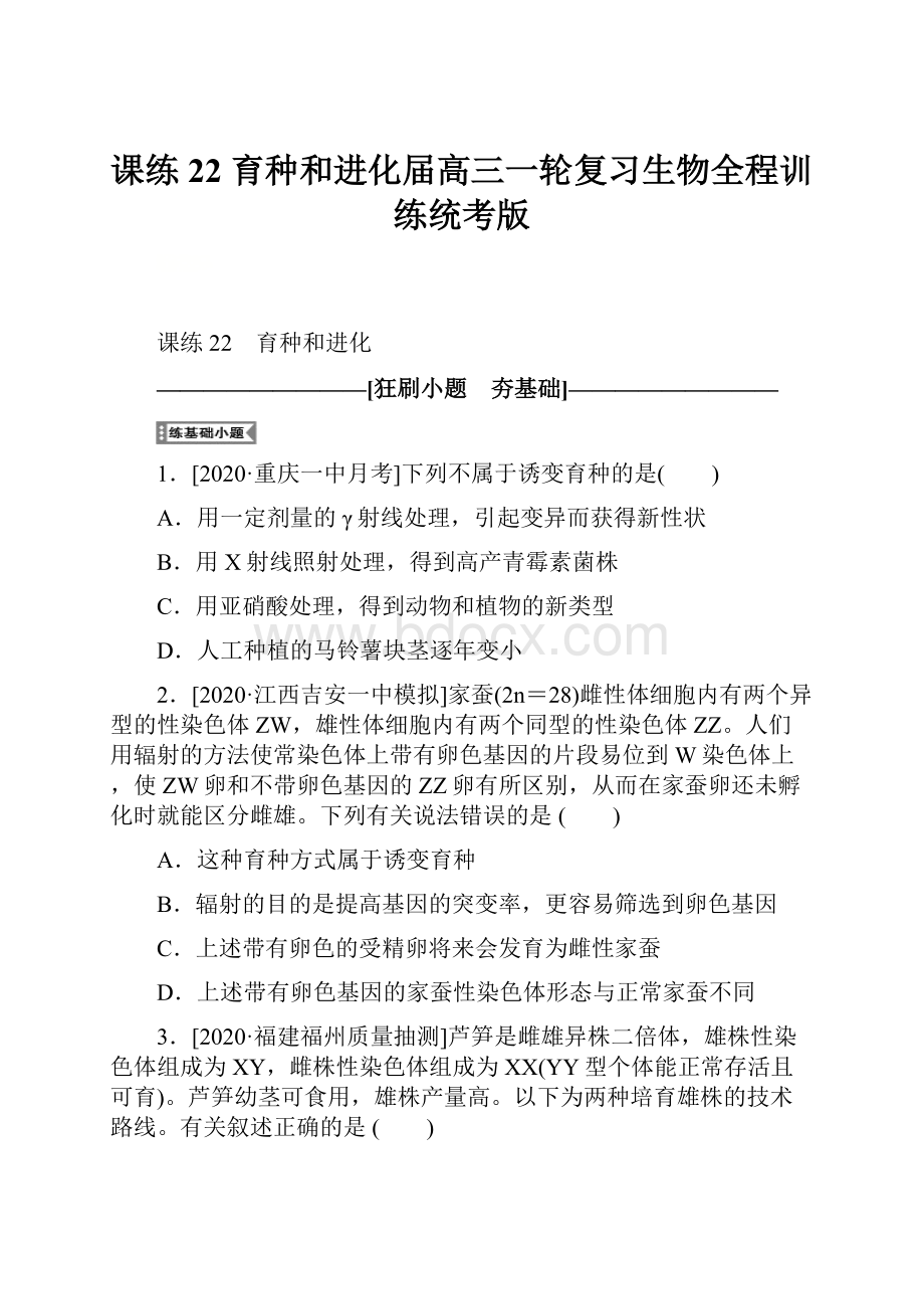 课练22 育种和进化届高三一轮复习生物全程训练统考版文档格式.docx