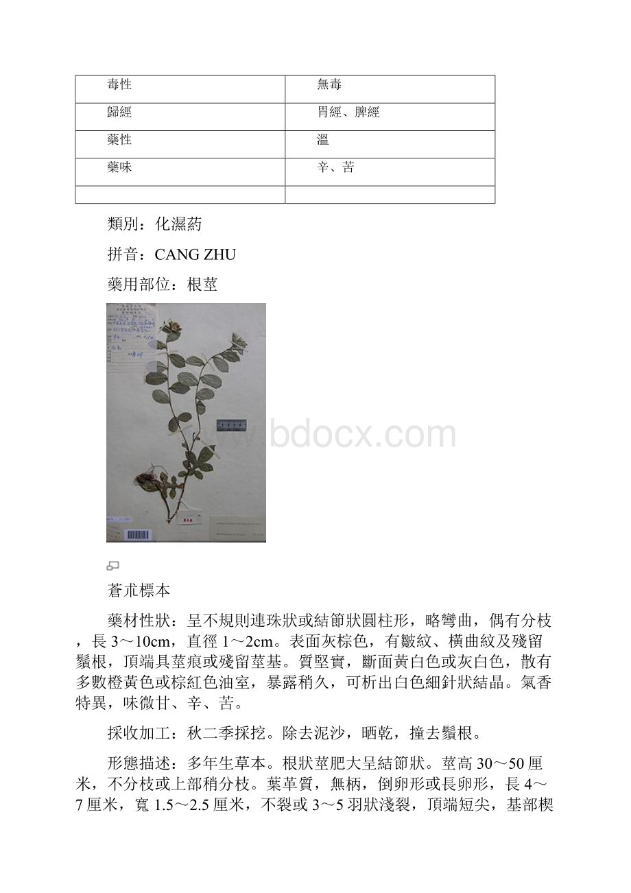 苍术.docx_第2页