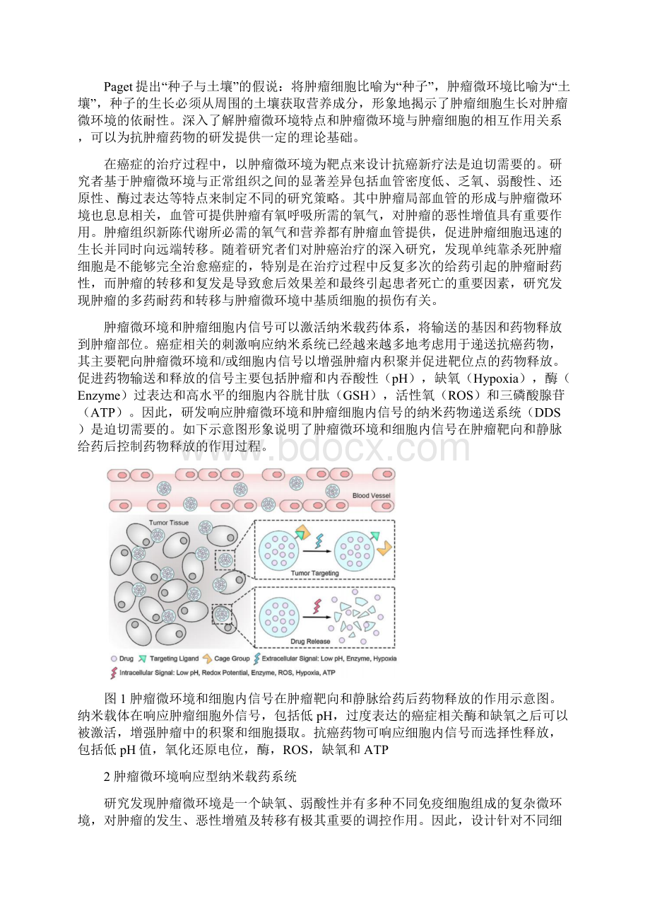 14 肿瘤微环境响应型纳米药物载体Word文档下载推荐.docx_第2页