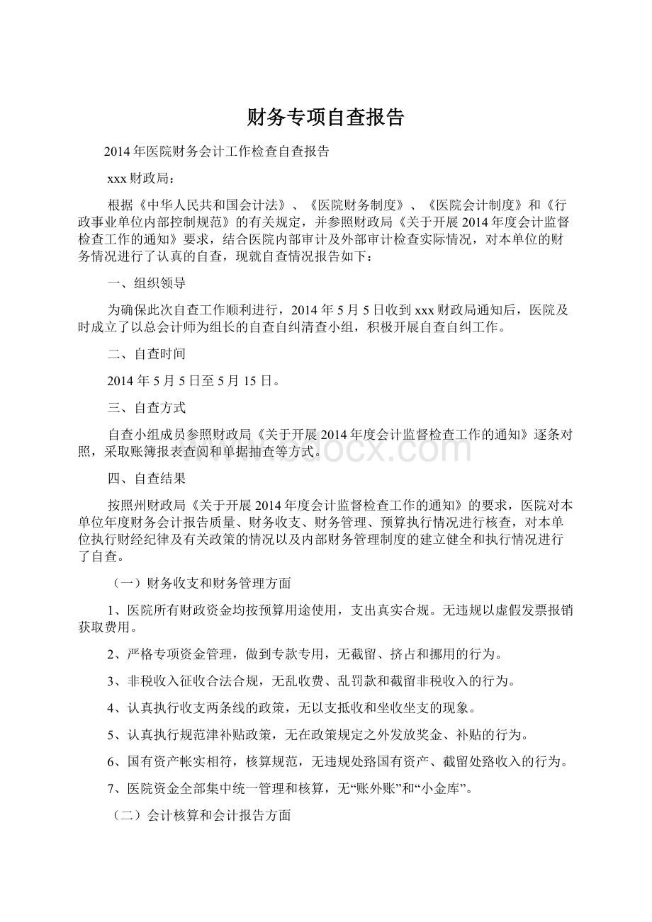 财务专项自查报告文档格式.docx_第1页