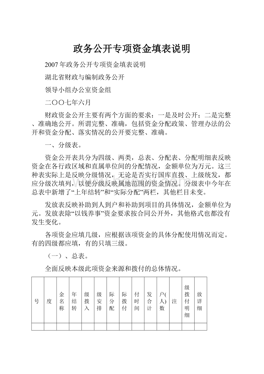 政务公开专项资金填表说明Word格式文档下载.docx