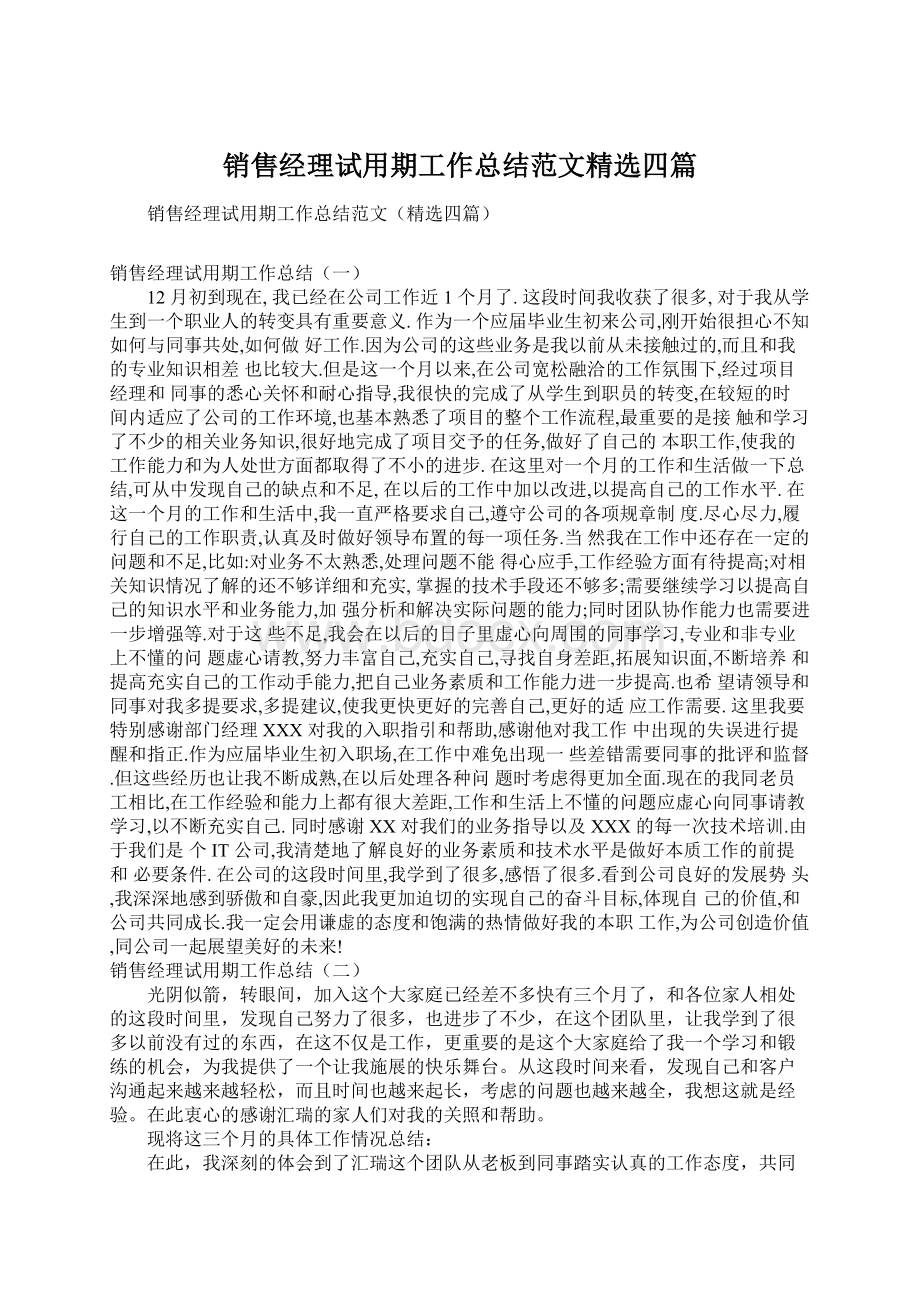 销售经理试用期工作总结范文精选四篇文档格式.docx