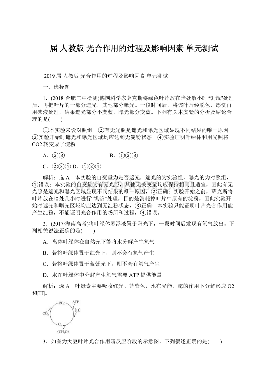 届人教版光合作用的过程及影响因素 单元测试.docx