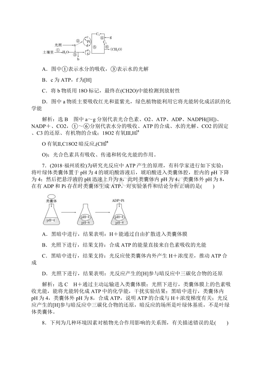 届人教版光合作用的过程及影响因素 单元测试.docx_第3页