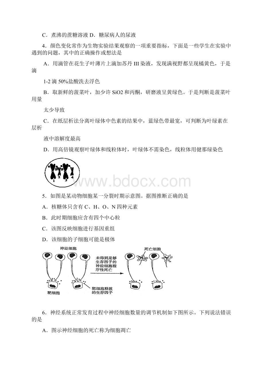 广东省阳江市阳东县阳东一中广雅中学届高三第一次联考理科综合试题.docx_第2页