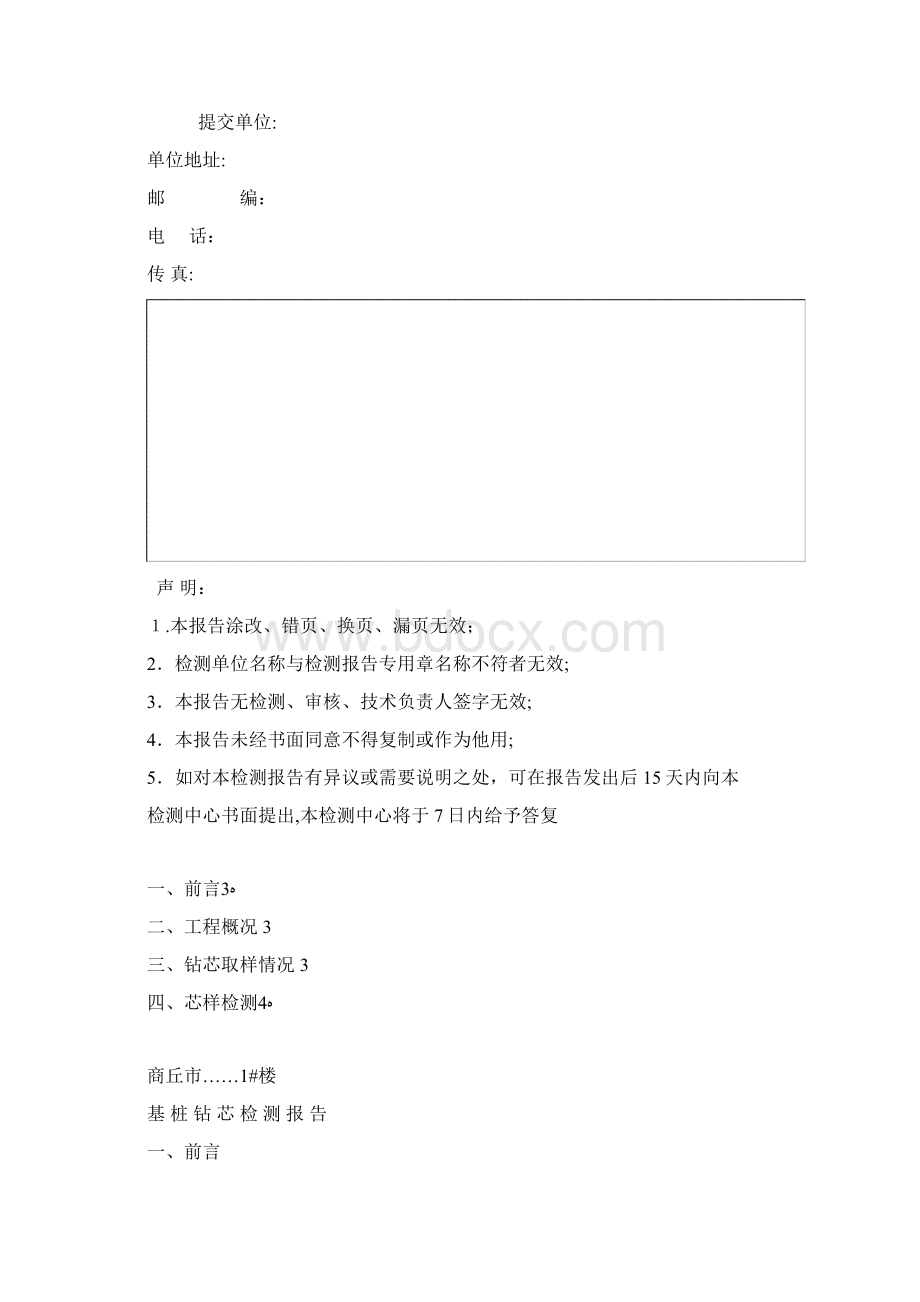 基桩钻芯检测报告.docx_第2页