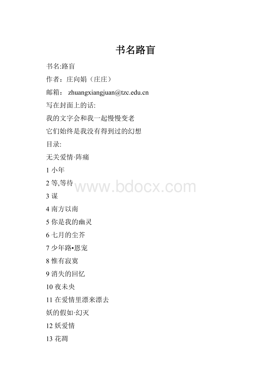 书名路盲.docx