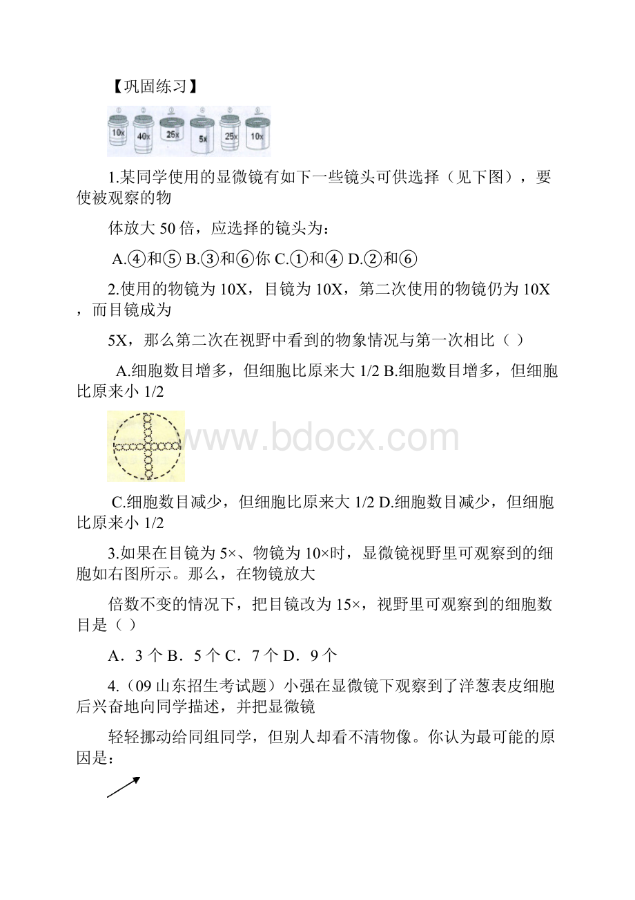 八年级生物结业复习资料.docx_第2页