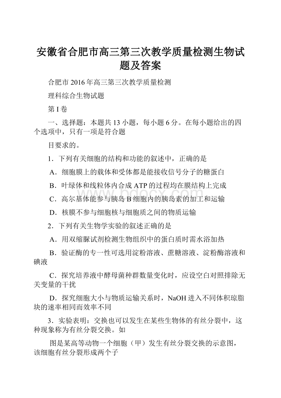 安徽省合肥市高三第三次教学质量检测生物试题及答案.docx