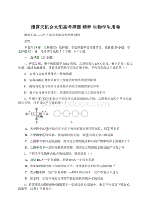 泄露天机金太阳高考押题 精粹 生物学生用卷Word格式.docx