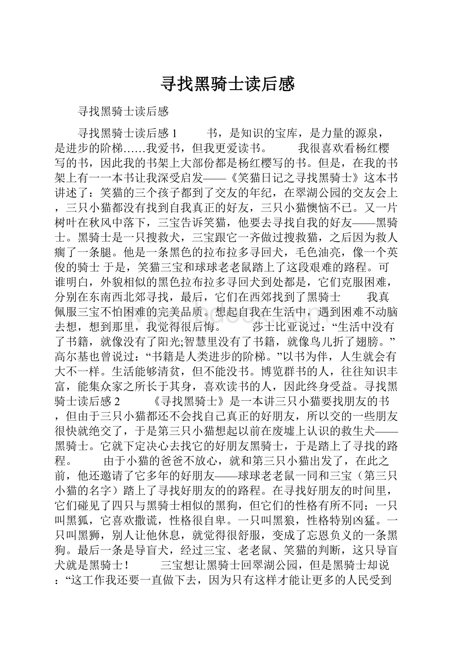 寻找黑骑士读后感.docx