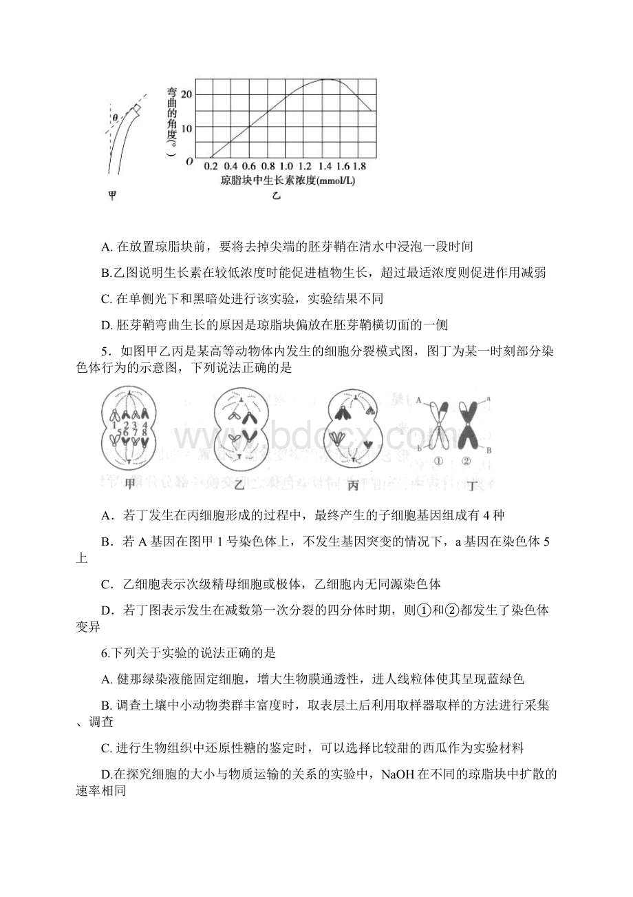 高三月考理综试题Word格式文档下载.docx_第2页