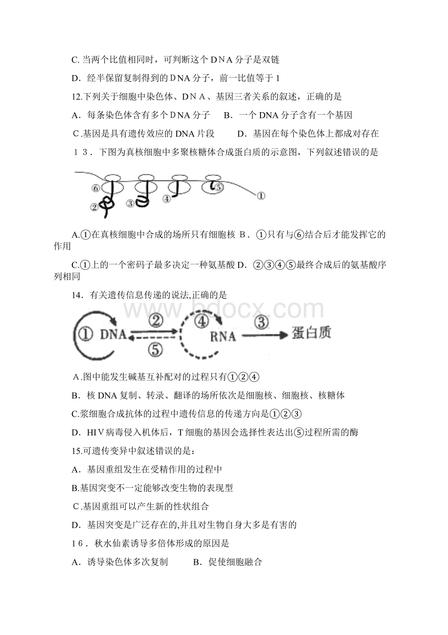 甘肃省武威市第六中学学年高二下学期第三次学段考试试题生物.docx_第3页