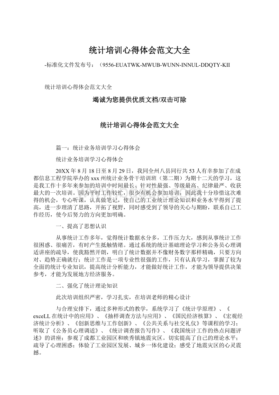 统计培训心得体会范文大全Word文档格式.docx