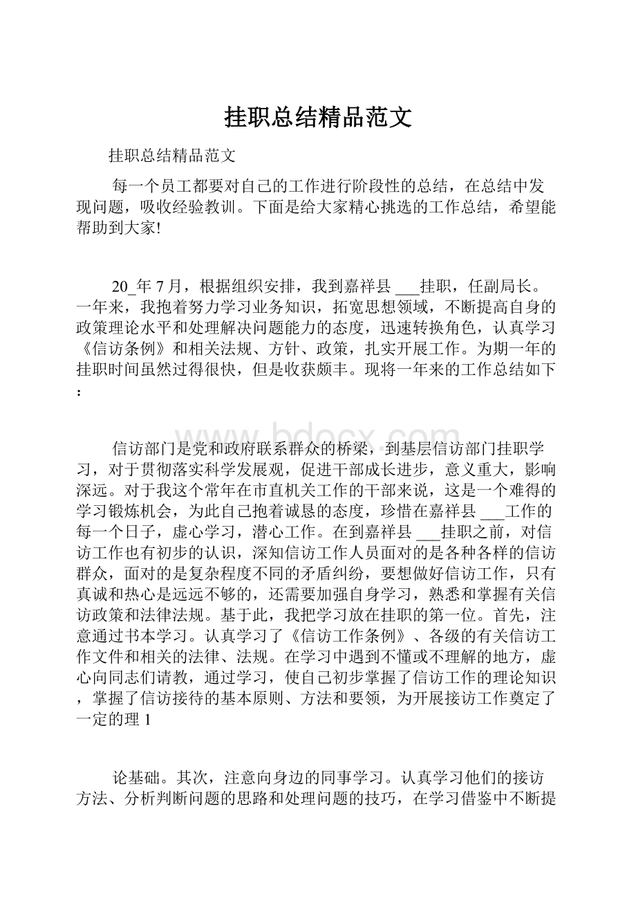 挂职总结精品范文Word格式文档下载.docx