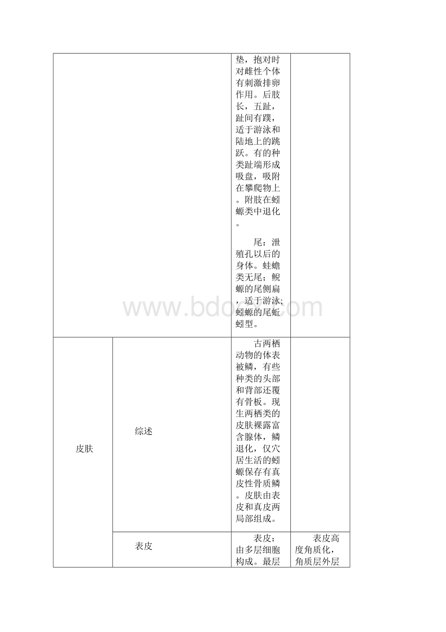 两栖类及爬行类特征总结.docx_第3页