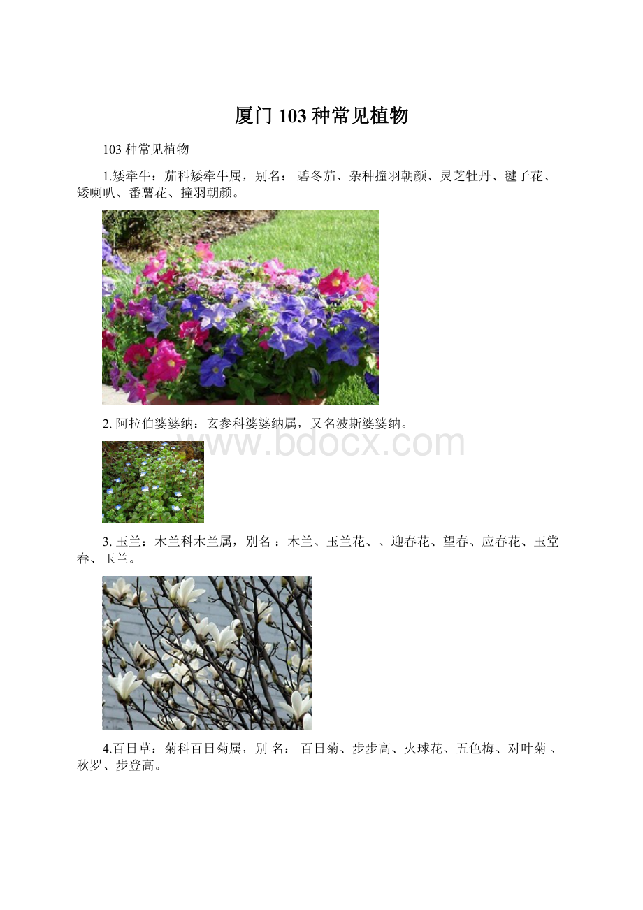 厦门103种常见植物Word格式.docx