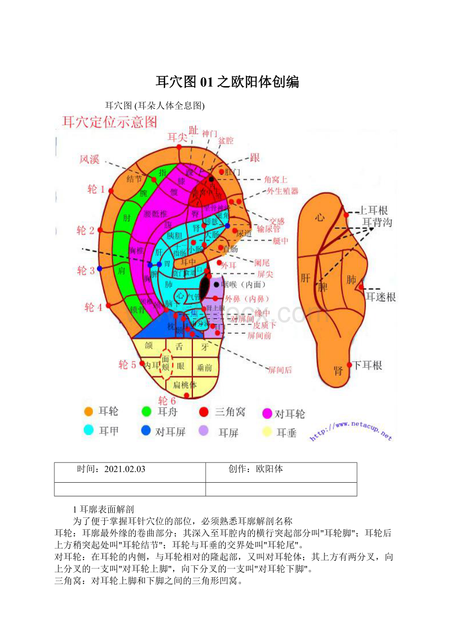 耳穴图01之欧阳体创编Word文件下载.docx_第1页