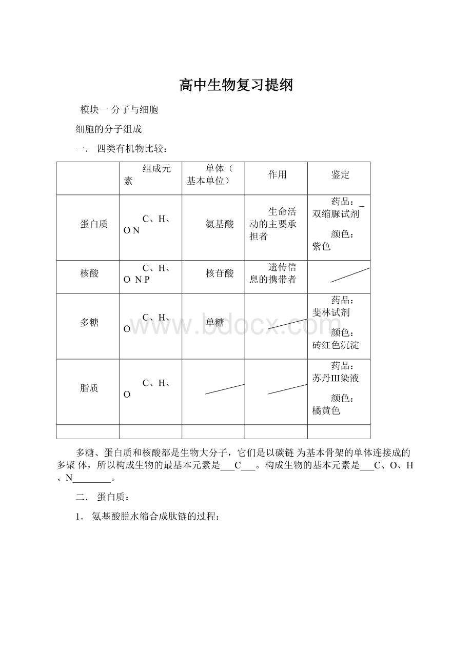 高中生物复习提纲.docx