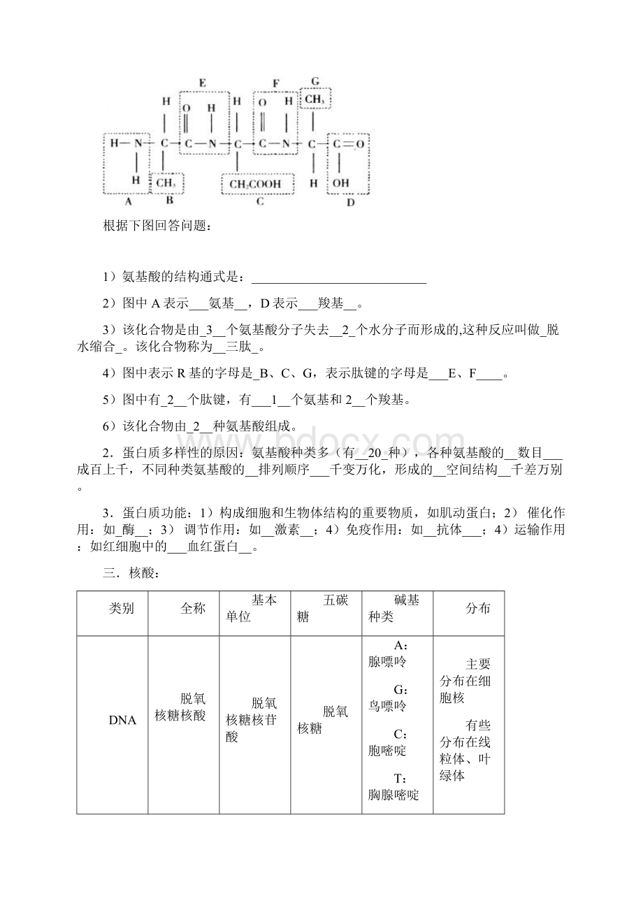 高中生物复习提纲Word文档格式.docx_第2页