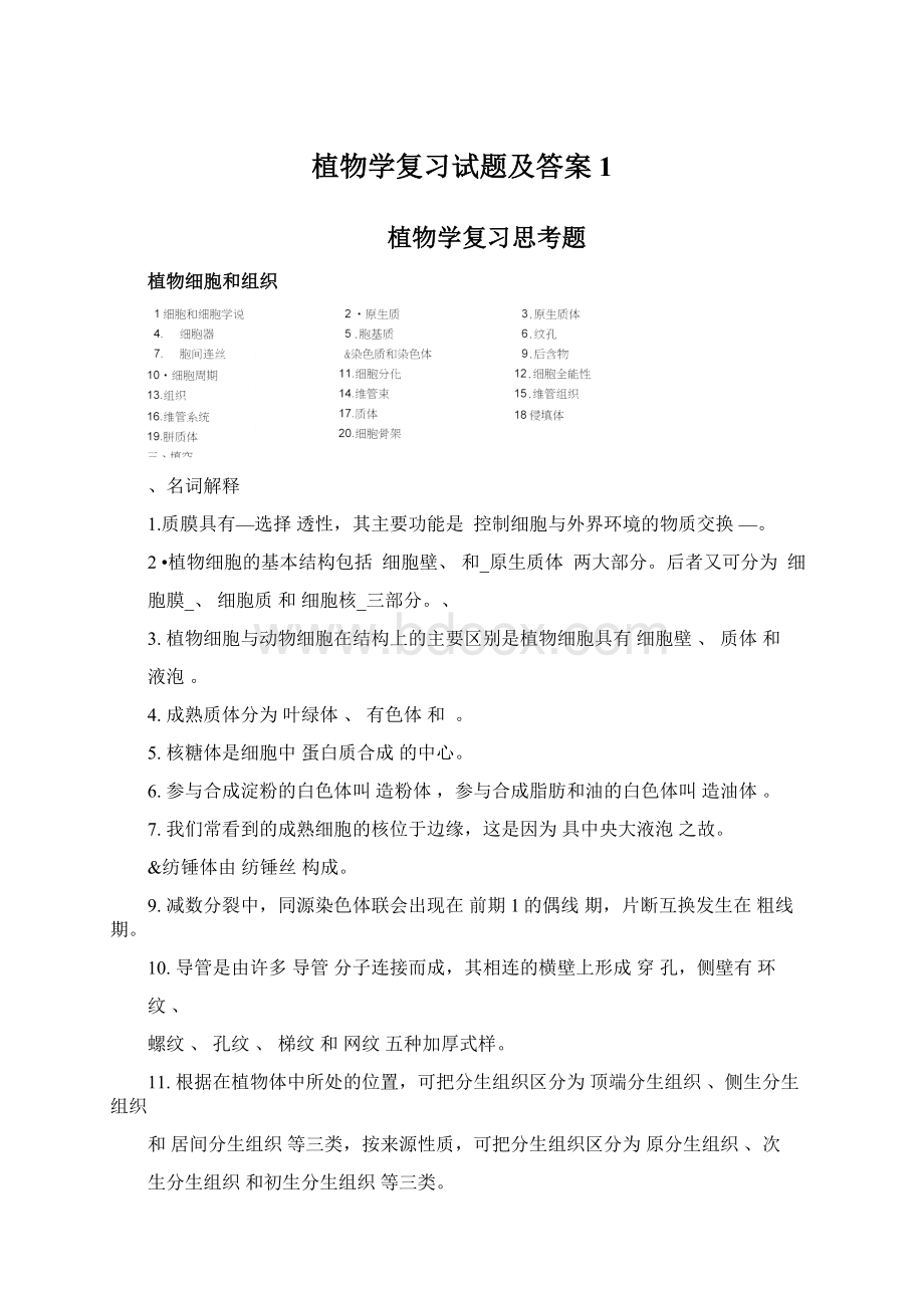 植物学复习试题及答案1.docx