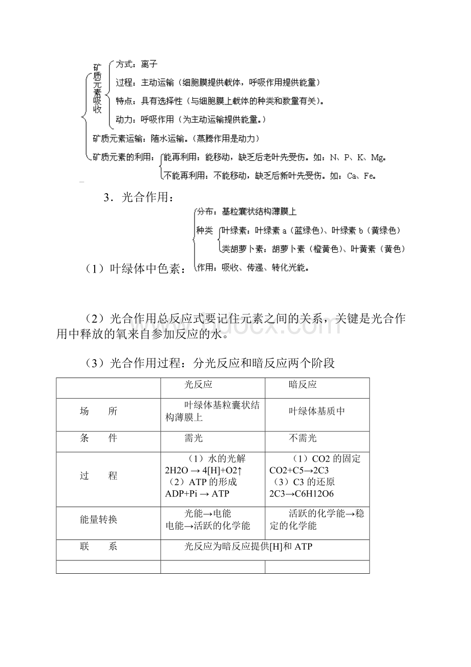 北京四中高考生物专题复习植物的新陈代谢.docx_第2页