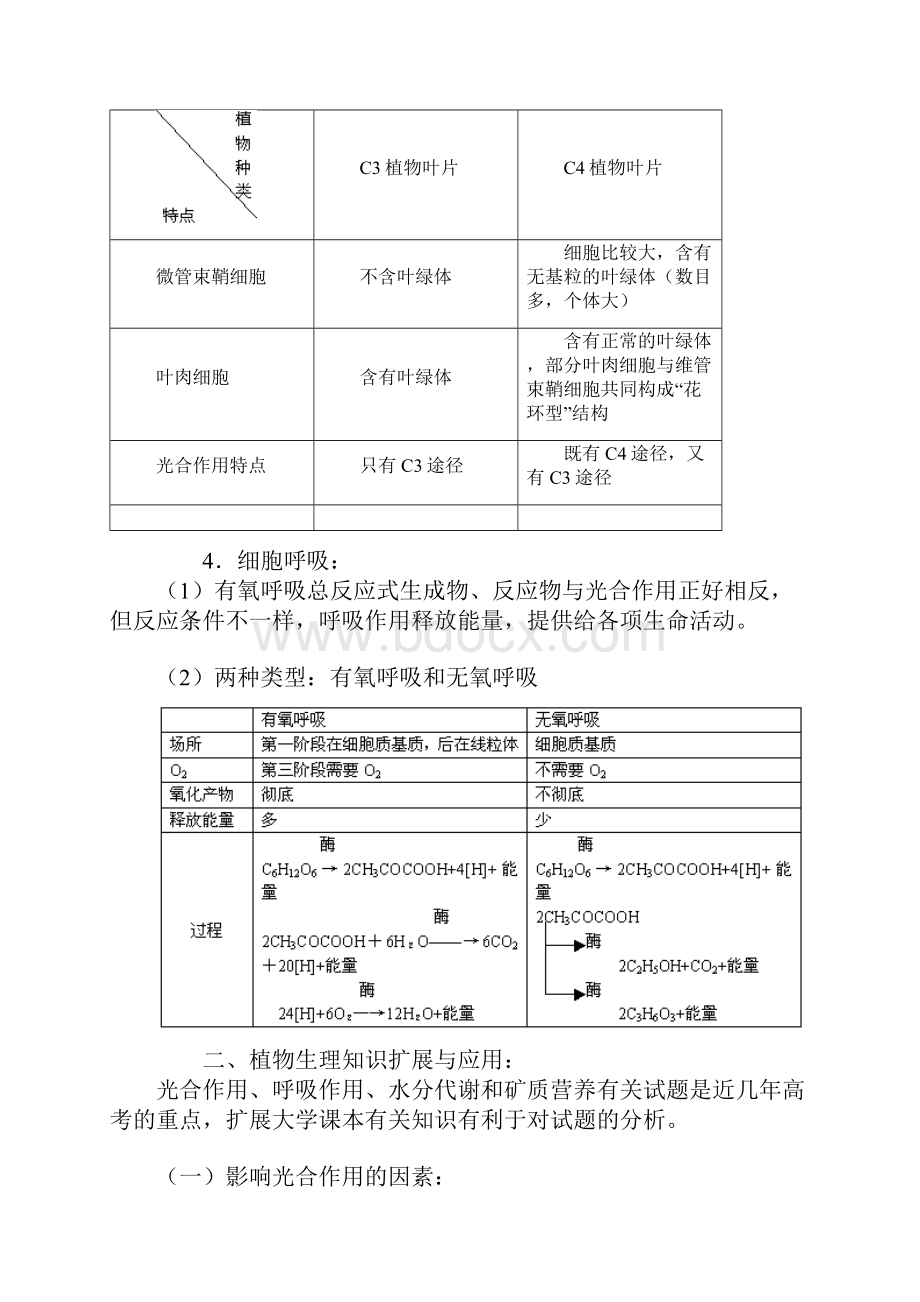 北京四中高考生物专题复习植物的新陈代谢Word下载.docx_第3页