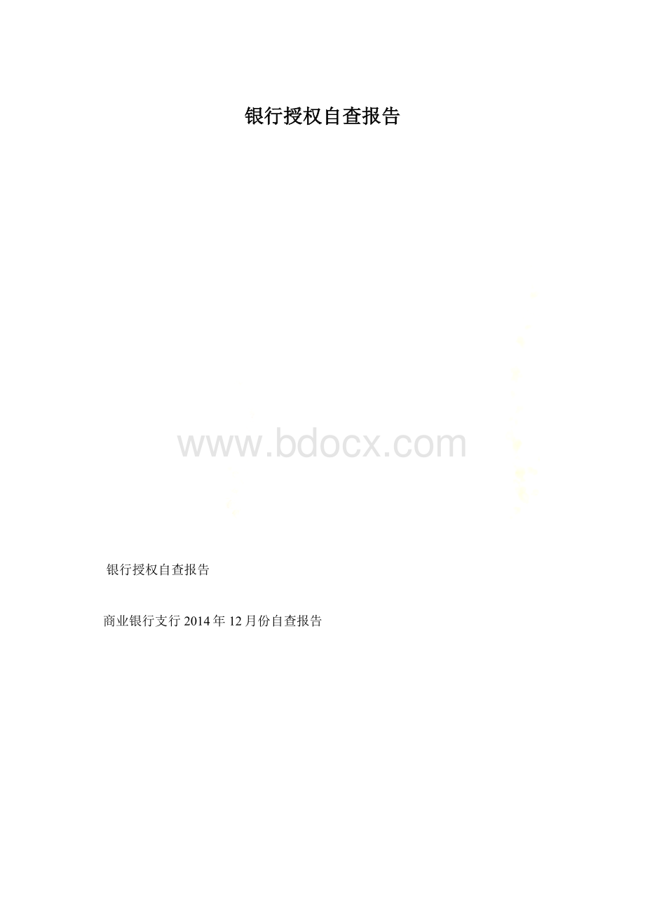 银行授权自查报告Word文档格式.docx