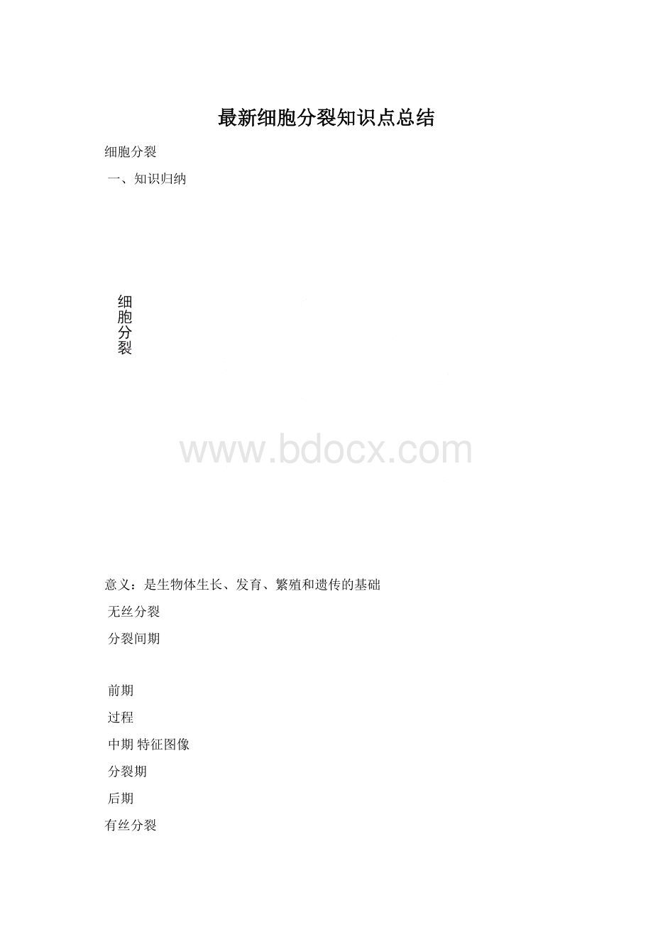 最新细胞分裂知识点总结.docx_第1页