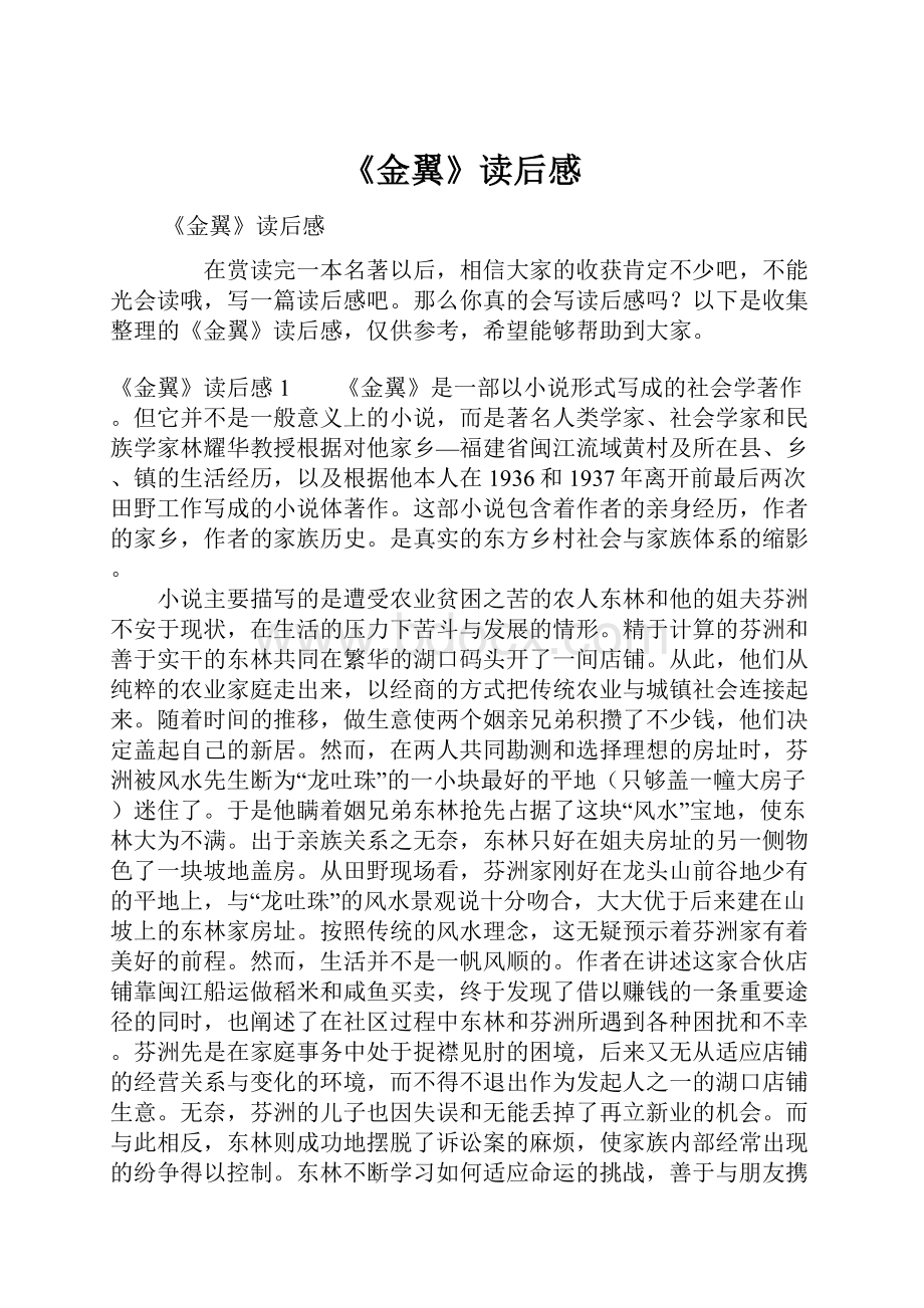 《金翼》读后感文档格式.docx