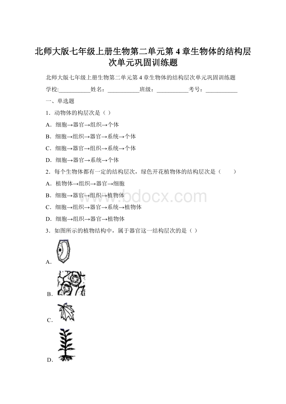 北师大版七年级上册生物第二单元第4章生物体的结构层次单元巩固训练题Word文档下载推荐.docx_第1页