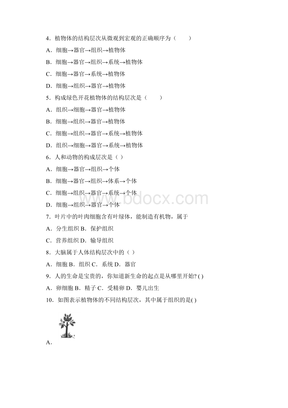 北师大版七年级上册生物第二单元第4章生物体的结构层次单元巩固训练题Word文档下载推荐.docx_第2页