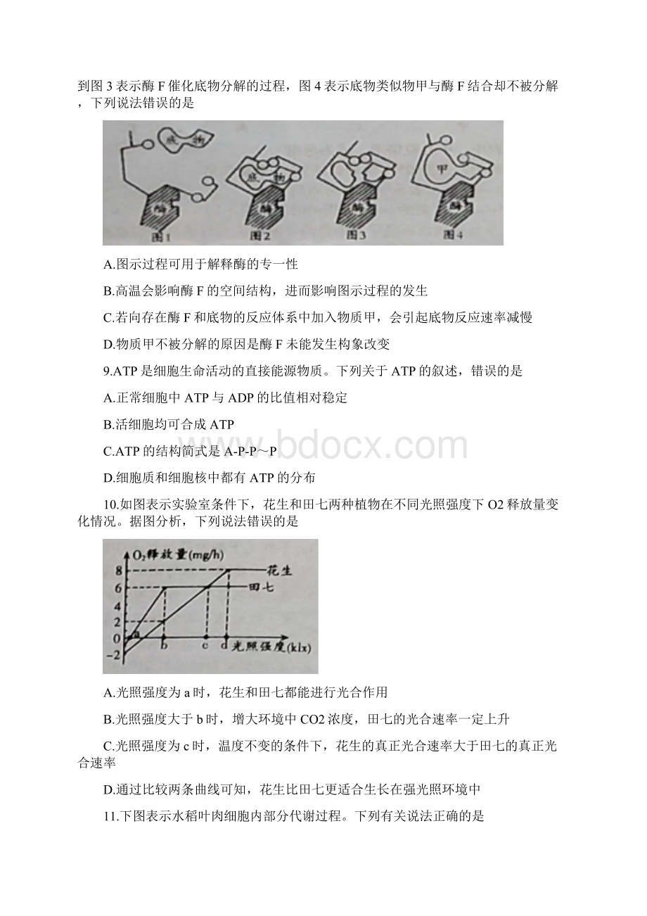 山东省菏泽市学年下学期高一第一次考试生物试题附答案Word格式.docx_第3页