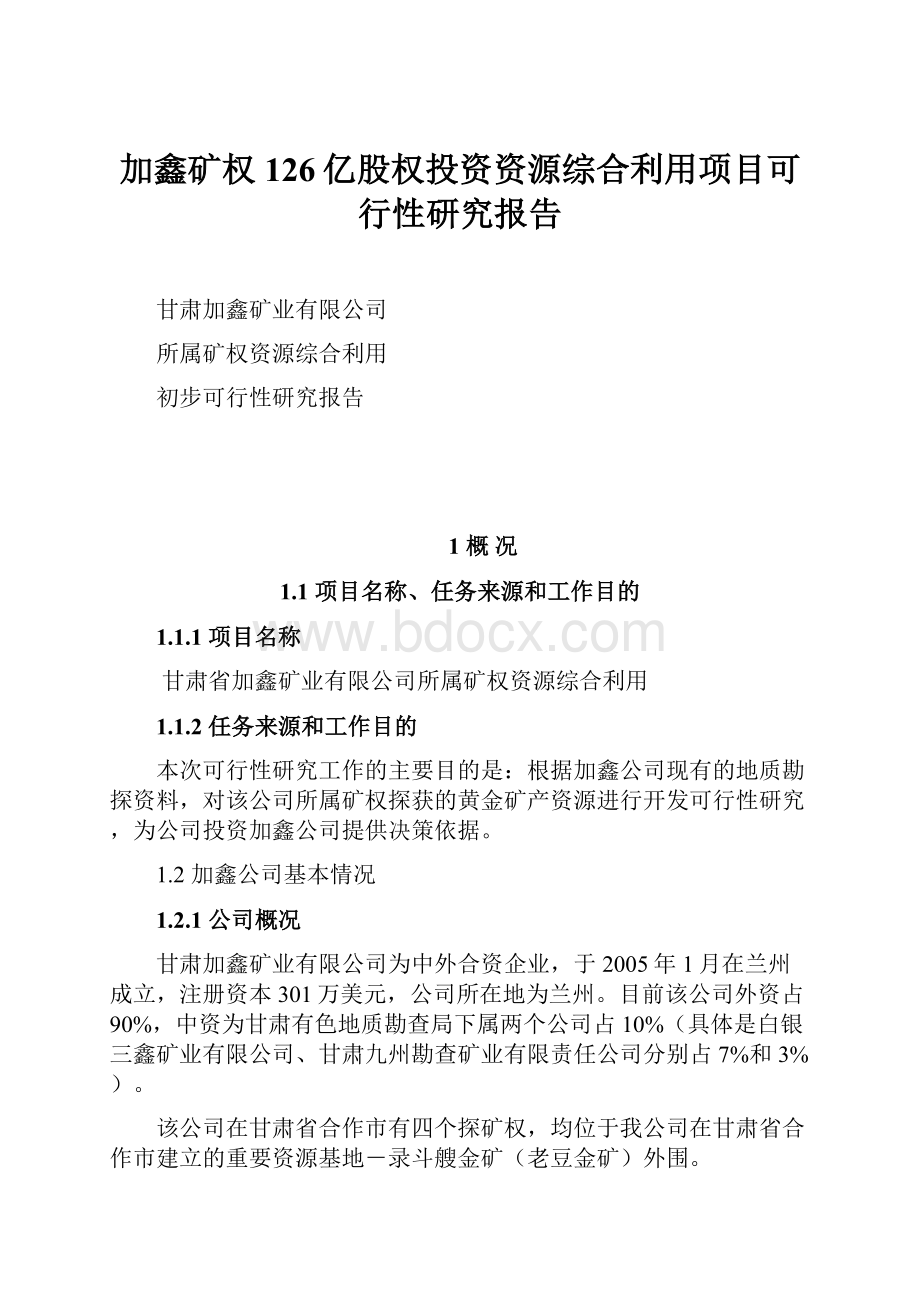 加鑫矿权126亿股权投资资源综合利用项目可行性研究报告.docx