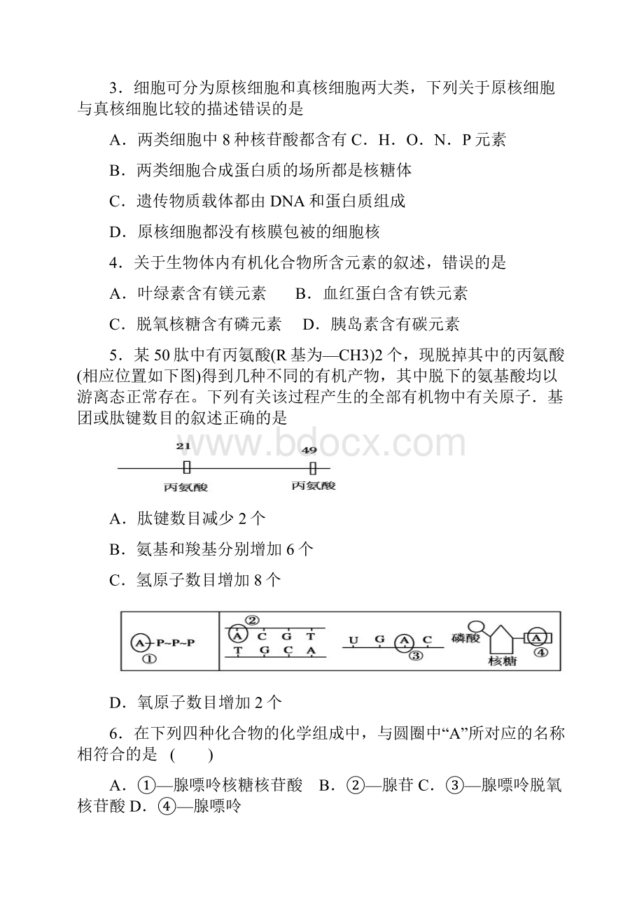 广东省揭阳市惠来县第一中学学年高一生物上学期期末质检考试试题Word文档格式.docx_第2页