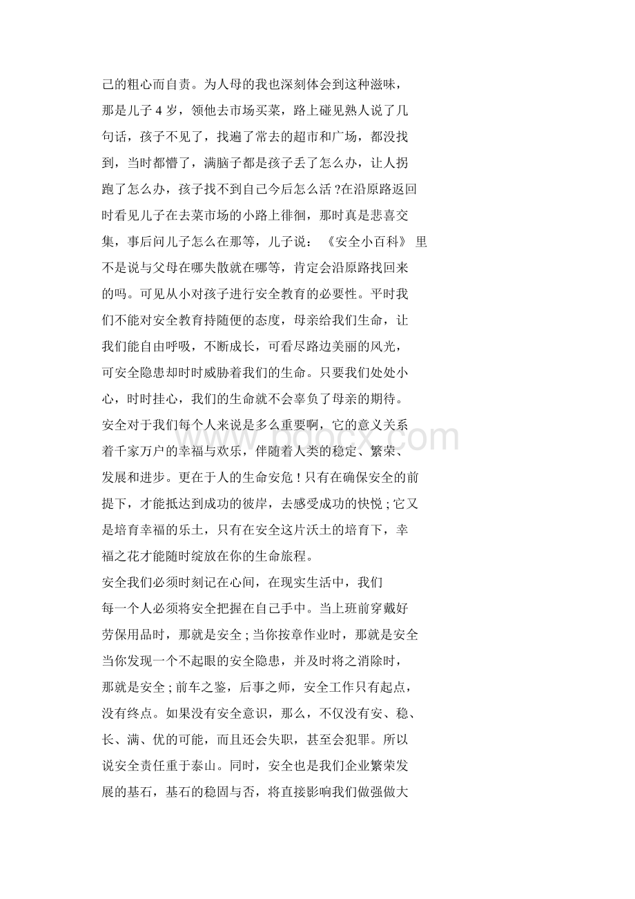 安全生产总结发言稿.docx_第2页