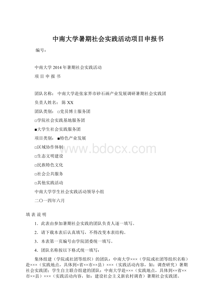 中南大学暑期社会实践活动项目申报书.docx