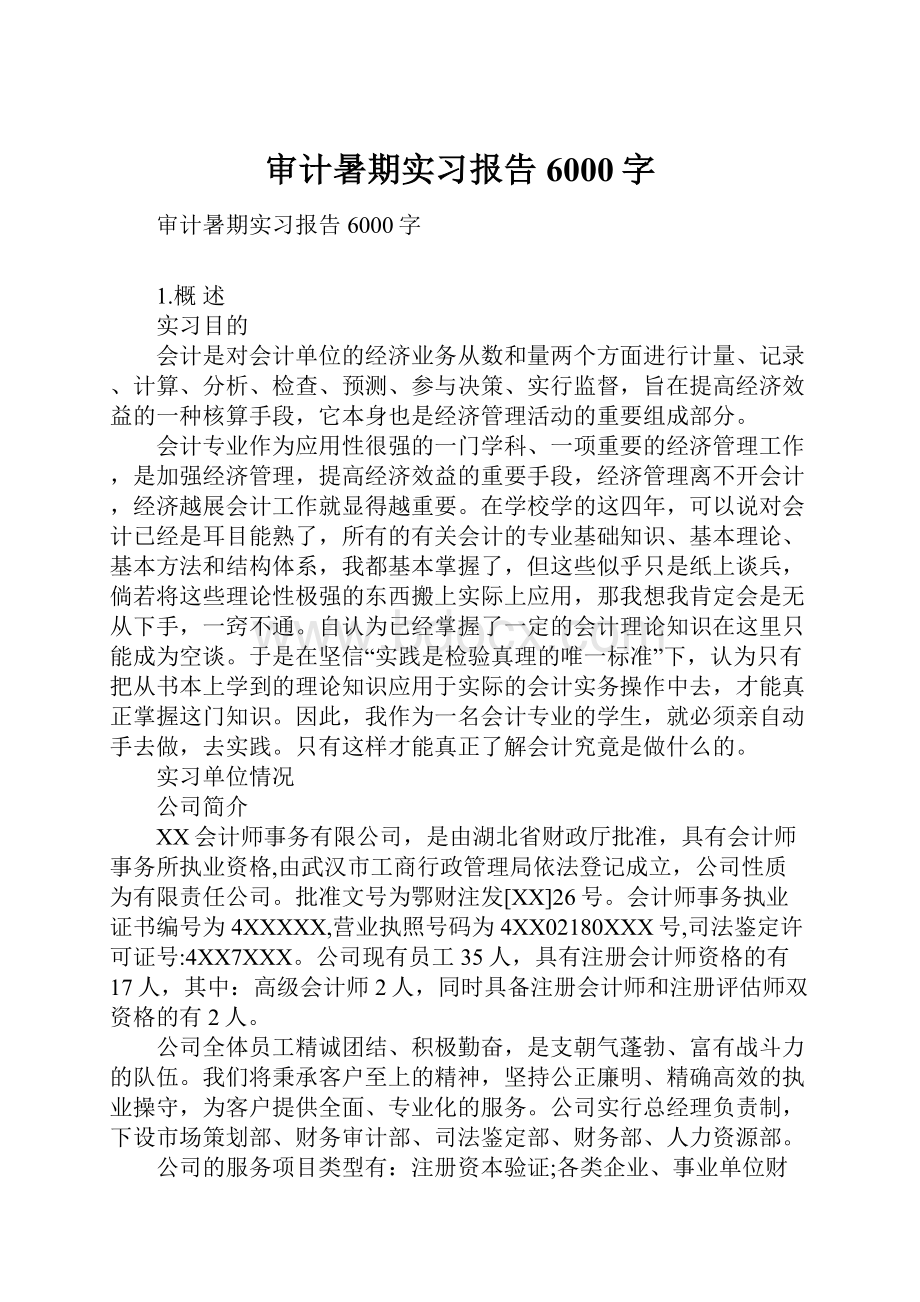 审计暑期实习报告6000字.docx_第1页