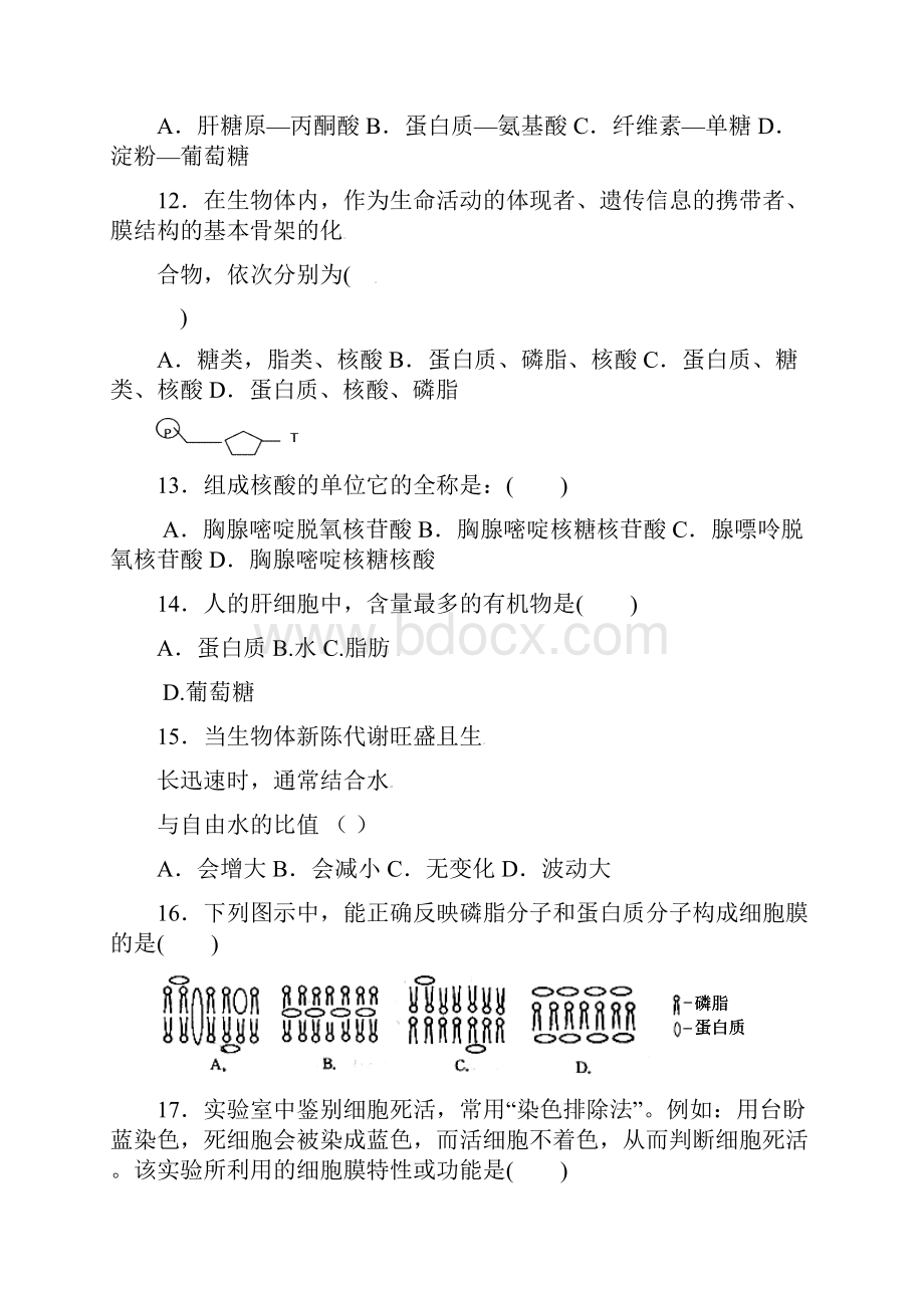 云南省昆明市黄冈实验学校学年高一生物上学期期末考试试题文档格式.docx_第3页