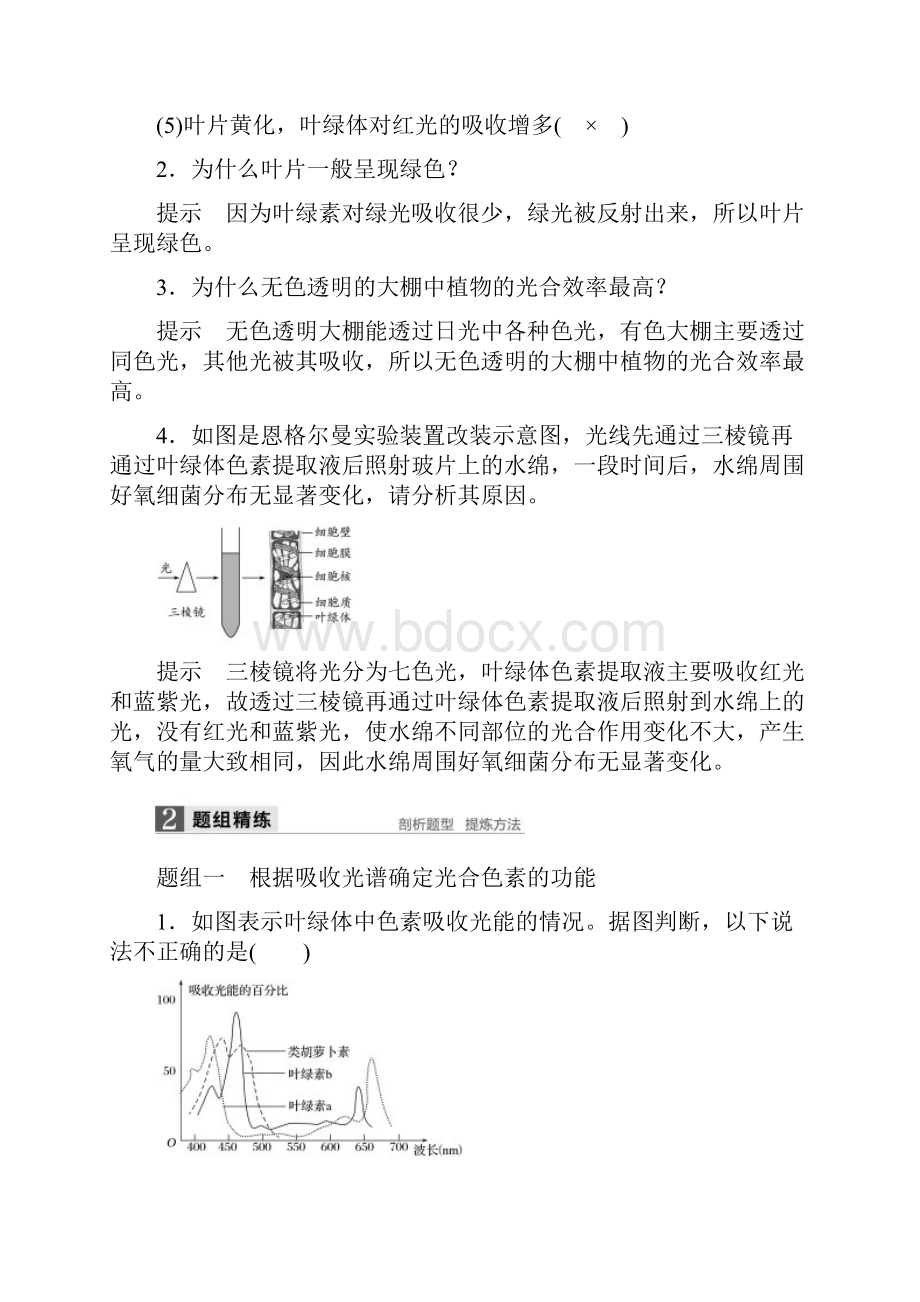 新步步高版高考生物一轮复习 第二单元 细胞的代谢 第7讲 光合作用讲义 浙科版Word格式.docx_第3页