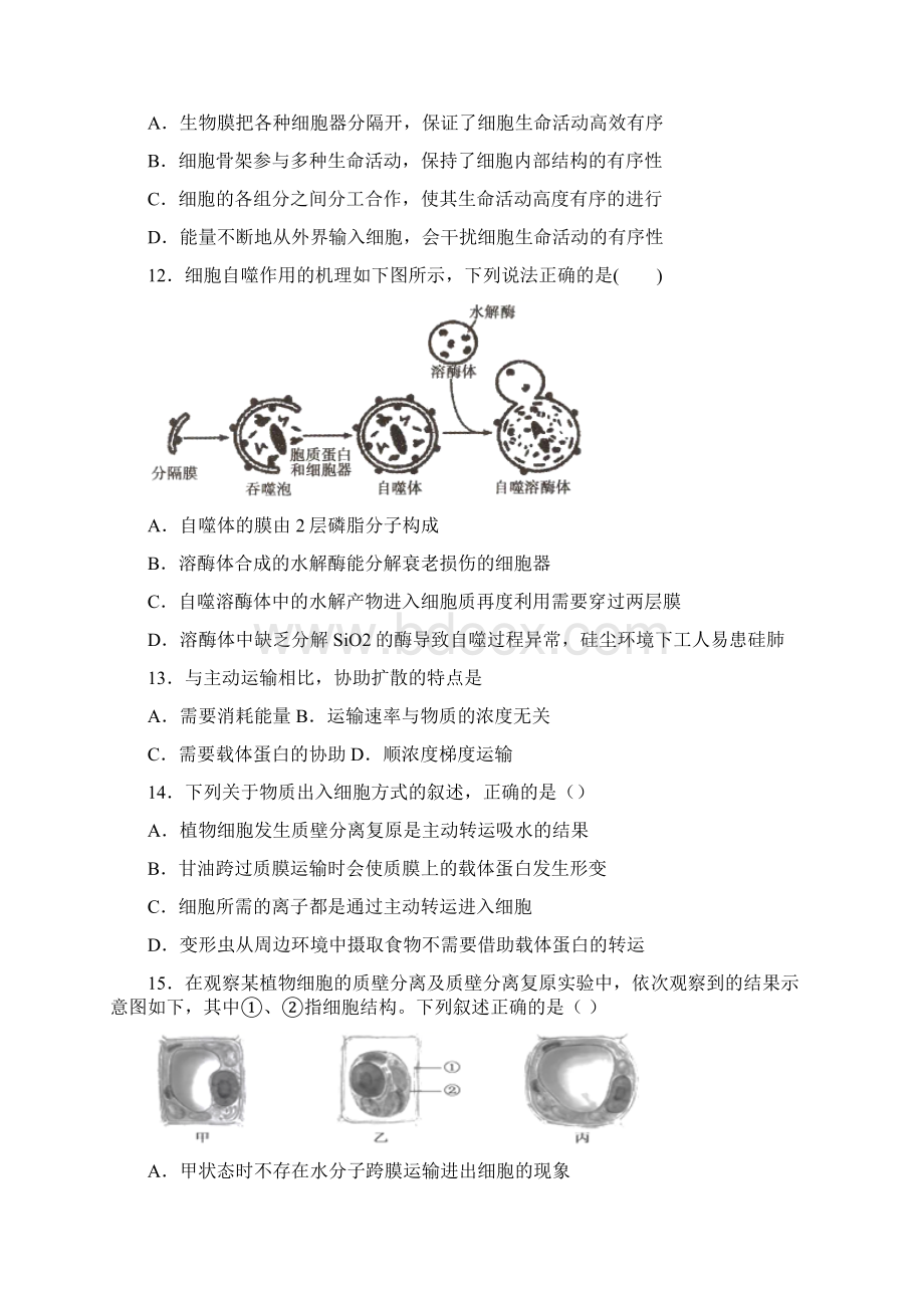 广东省广州市学年高一上学期期末生物试题含答案解析.docx_第3页