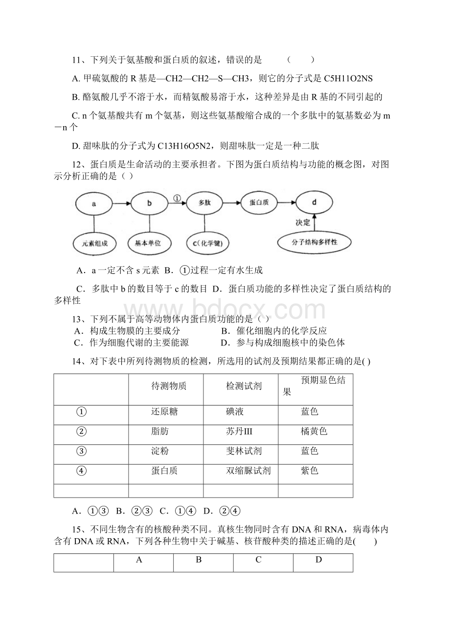 山东省兖州市第一学期高一期中检测生物试题Word下载.docx_第3页