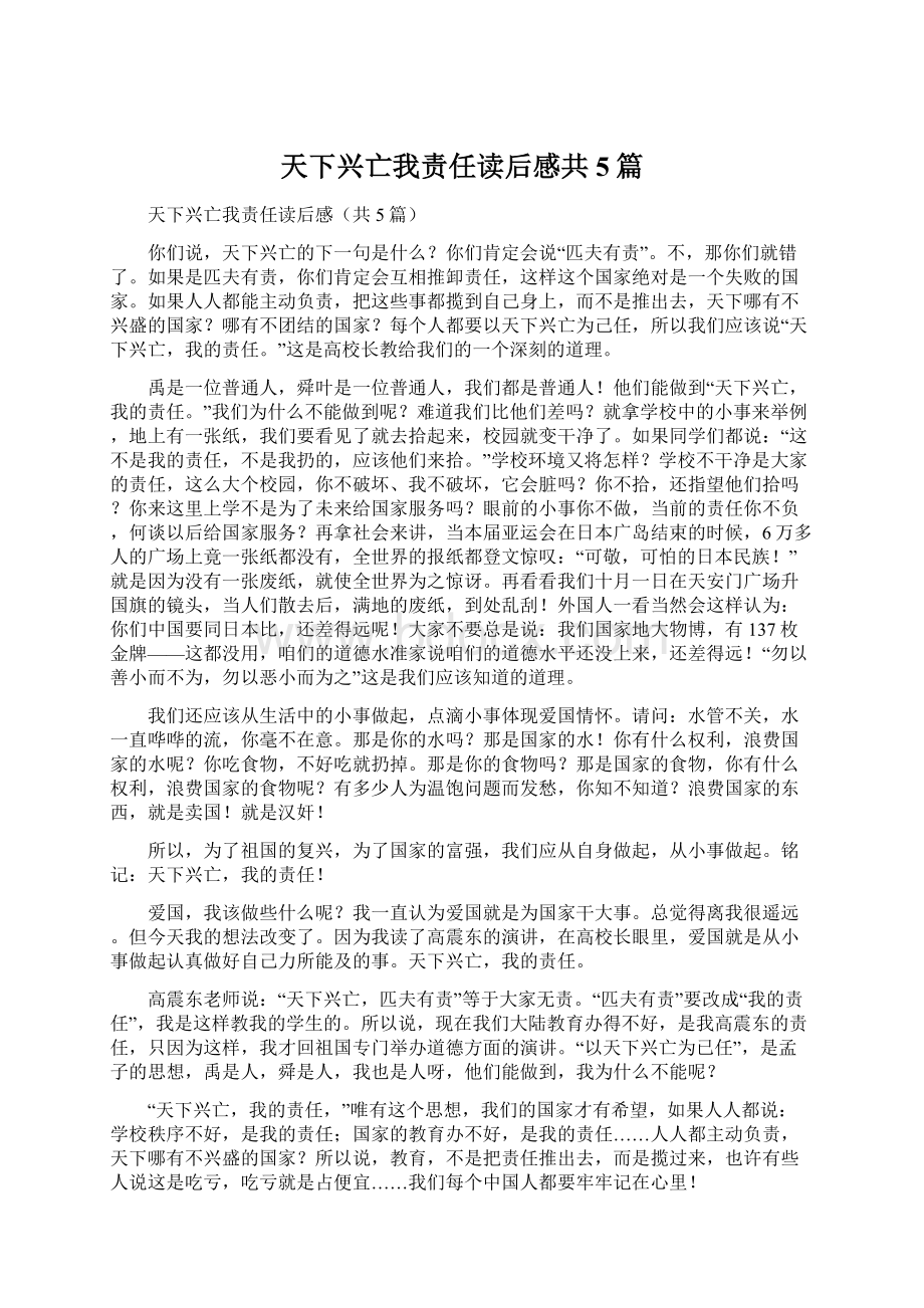 天下兴亡我责任读后感共5篇文档格式.docx