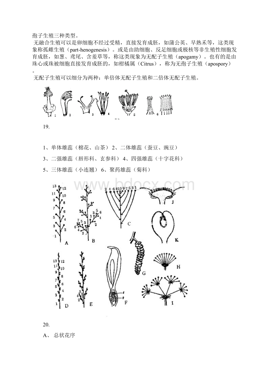 生物奥赛选拔试题解析.docx_第3页