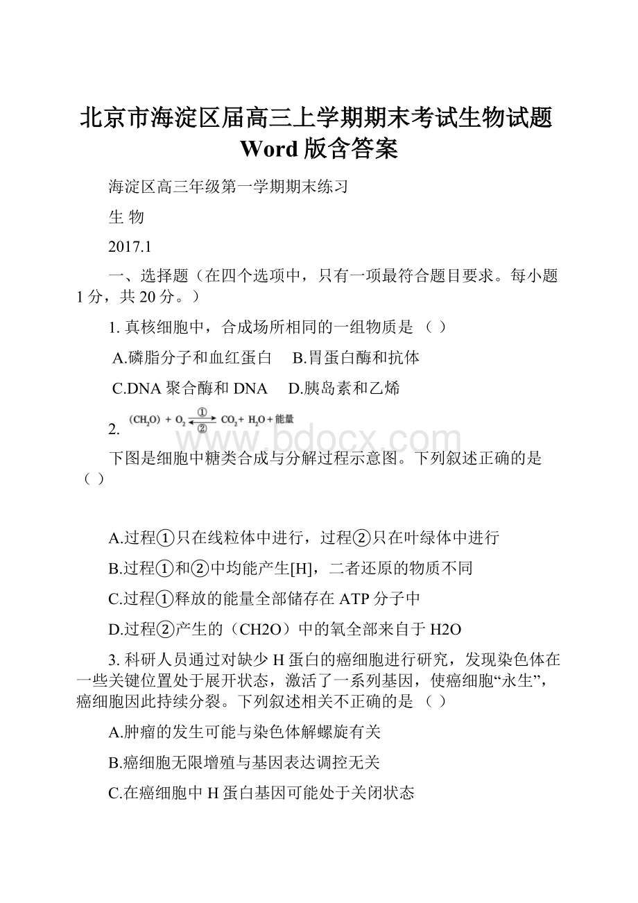 北京市海淀区届高三上学期期末考试生物试题Word版含答案Word格式.docx_第1页