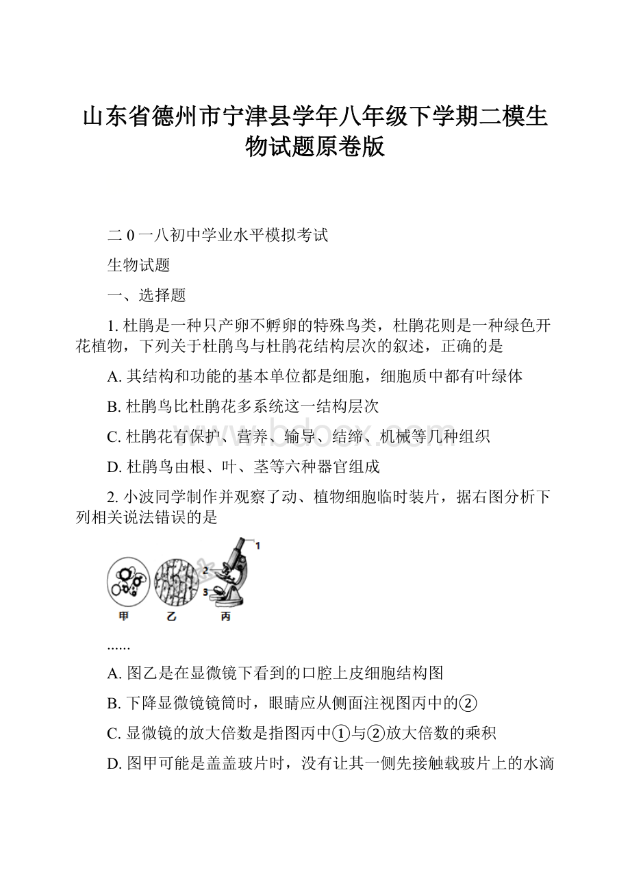 山东省德州市宁津县学年八年级下学期二模生物试题原卷版.docx_第1页