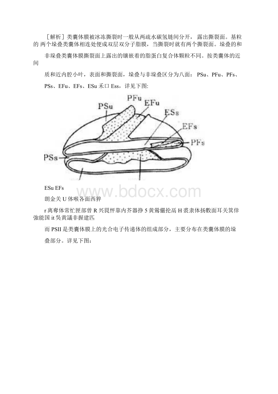 全国中学生生物学联赛北京赛区的初赛试题含答案.docx_第2页