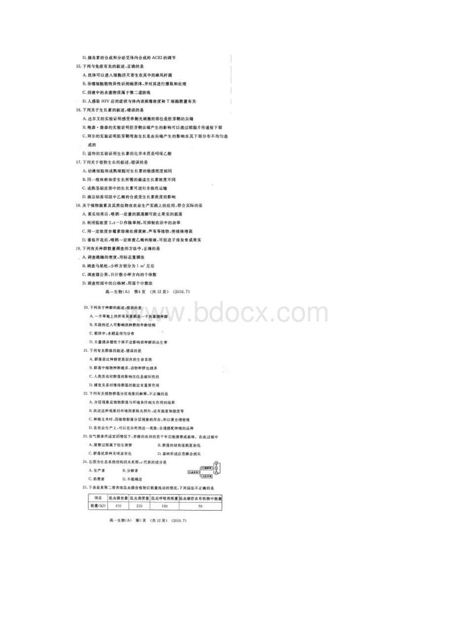 河南省洛阳市学年高一下学期期末考试生物扫描版含答案Word文件下载.docx_第3页