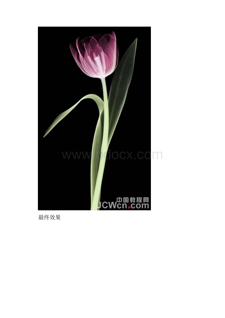 Photoshop橡皮擦工具快速抠图Word格式.docx_第2页