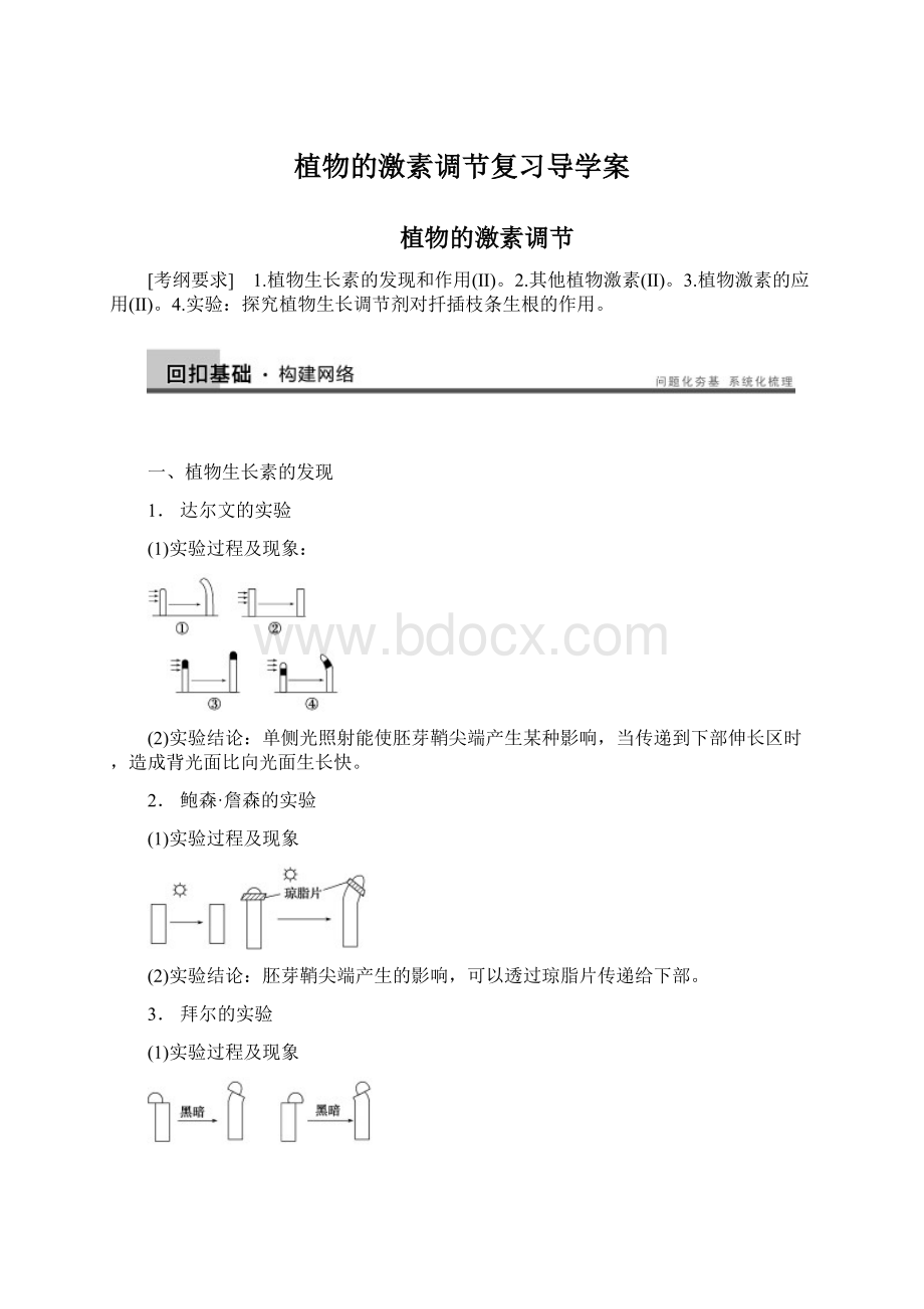 植物的激素调节复习导学案Word下载.docx